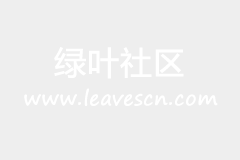 快连加速器 LetsVPN 官网地址